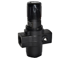 R17-600-RNLG R17-600-RNLG